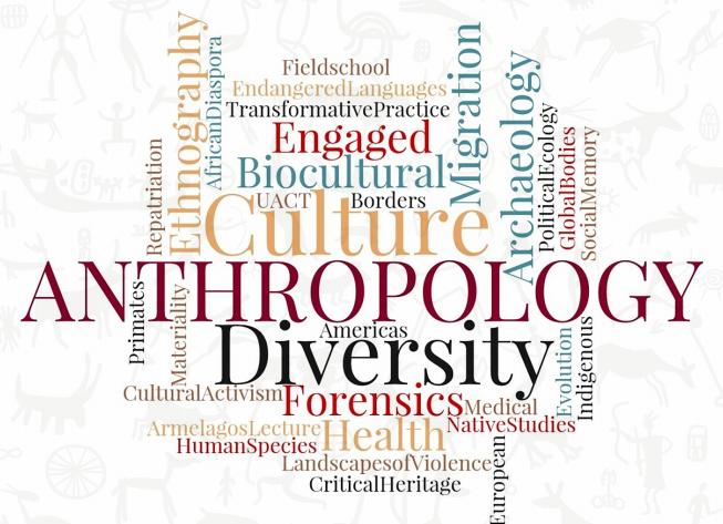 Intro to Anthropology FA20 (ANTH-11000-01)